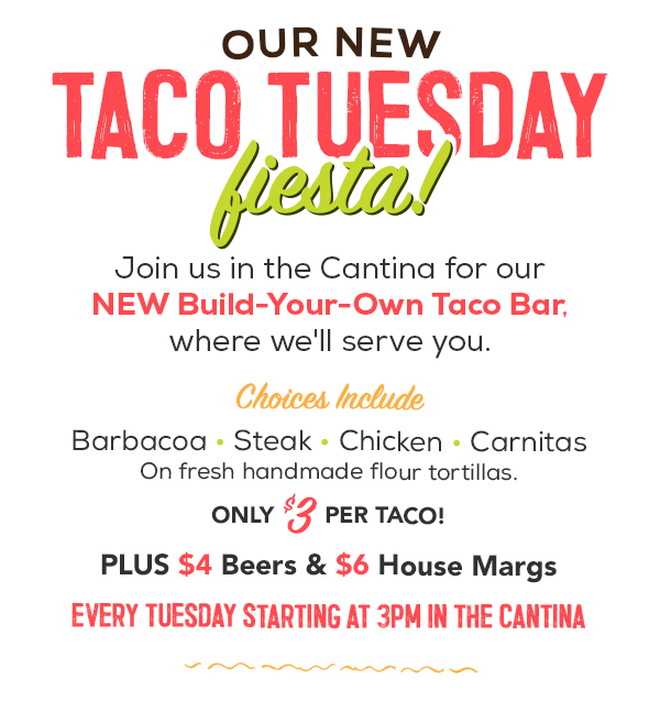A 3 Taco Tuesday Fiesta!🌮 El Torito